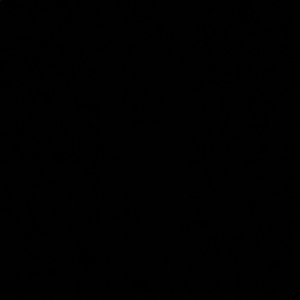 Meet your Posher, Dilande